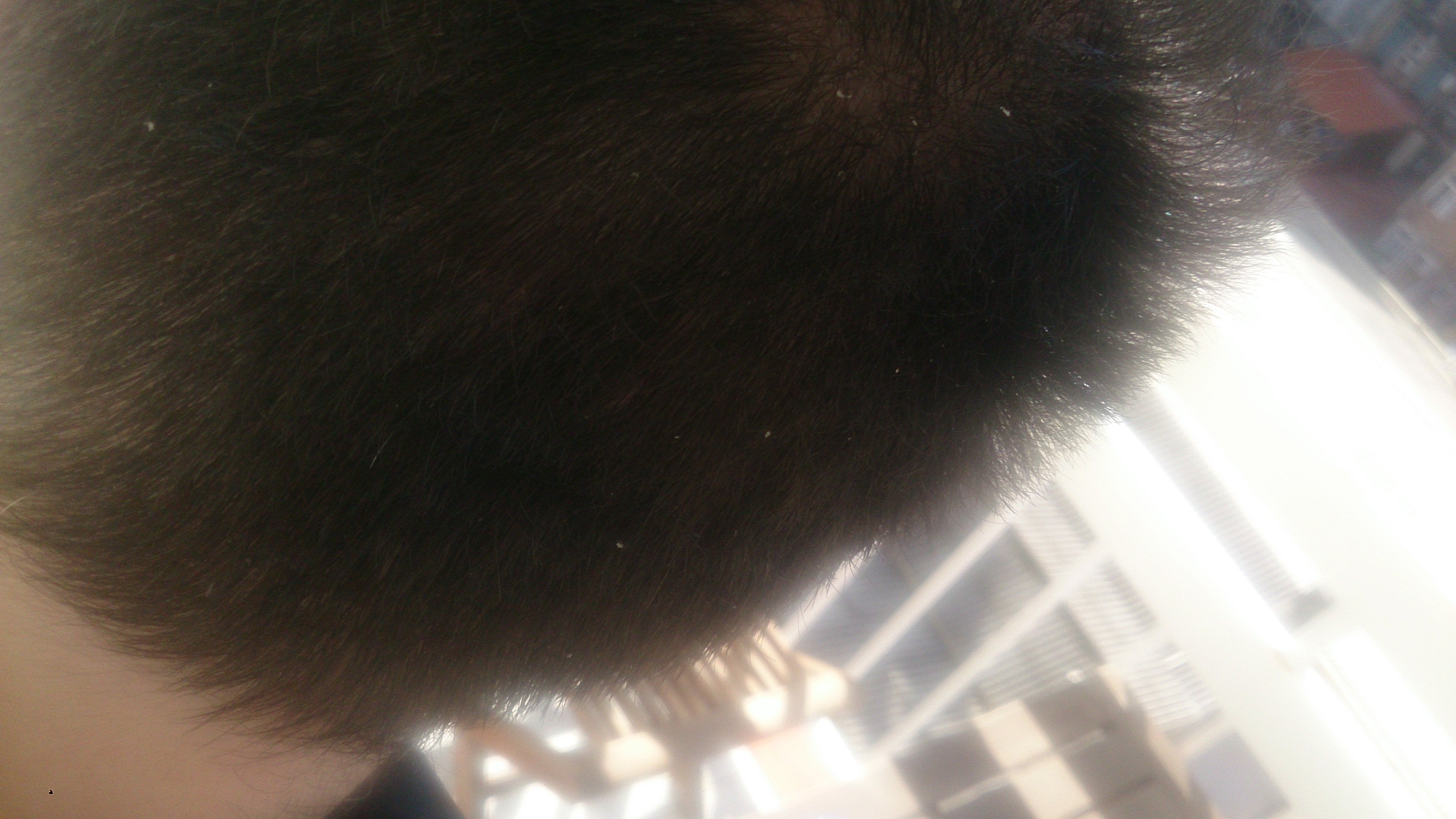 2014-07-08 09.26.48